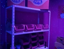 WhatsApp Image 2026-03-27 at 11.53.05